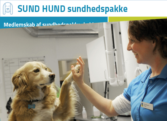 sundhedspakker