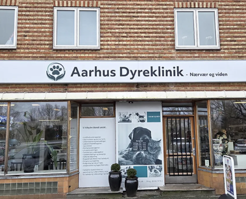 Aarhus Dyrekliik 2026