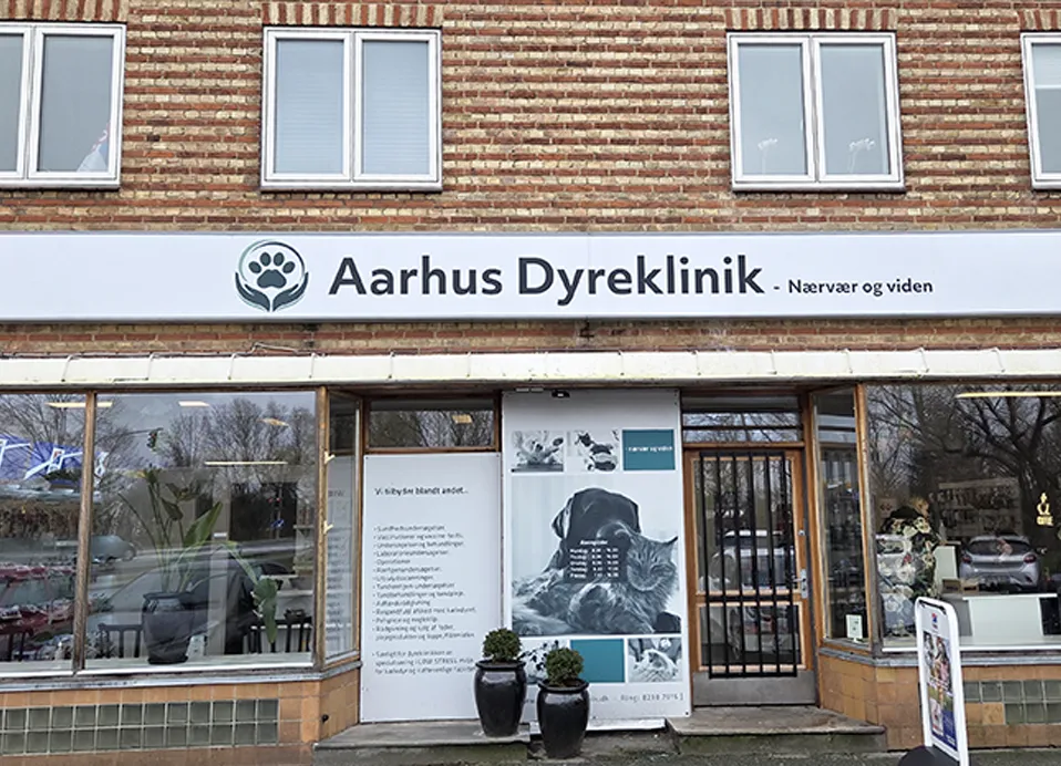 Aarhus Dyrekliik 2026